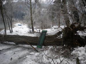 phoca_thumb_l_led v obini dravograd 4